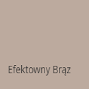 Efektowny brąz