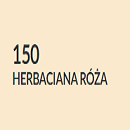 Herbaciany róża