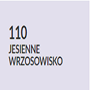 Jesienne wrzosowisko