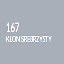 Klon srebrzysty