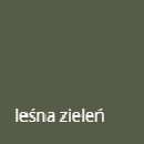 Leśna zieleń