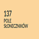 Pole słoneczników