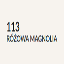 Różowa magnolia