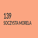 Soczysta morela