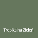 Tropikalna zieleń