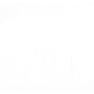 Biały