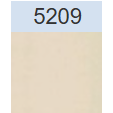 5209