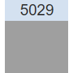 5029