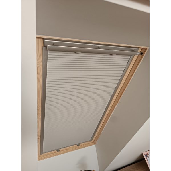 IMG_20250304_150255 IMG_20250304_150255