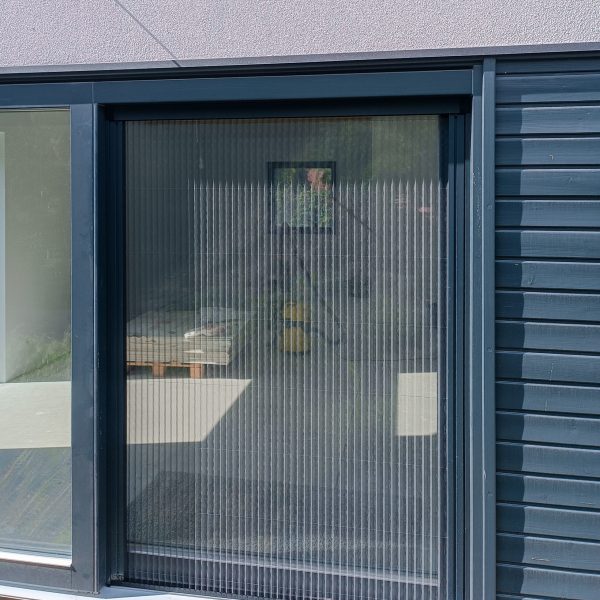 IMG_20250517_154543 IMG_20250517_154543