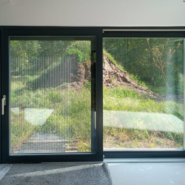 IMG_20250517_155002 IMG_20250517_155002