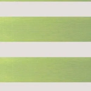 BH 2306 Zielony