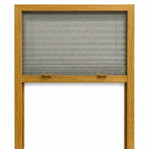 Złoty dąb +60,00&nbsp;zł